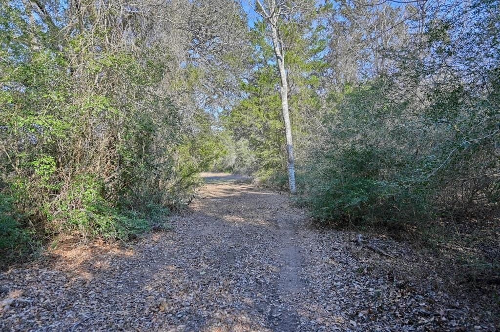 35 acres in Colorado County - photo 24