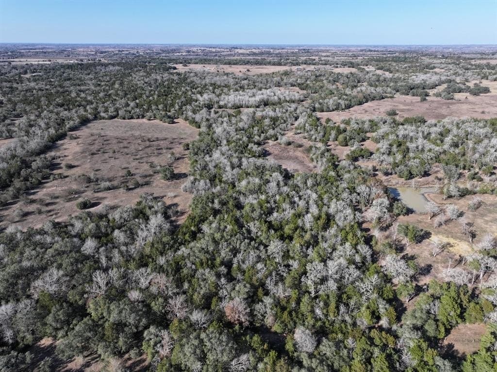 35 acres in Colorado County - photo 8