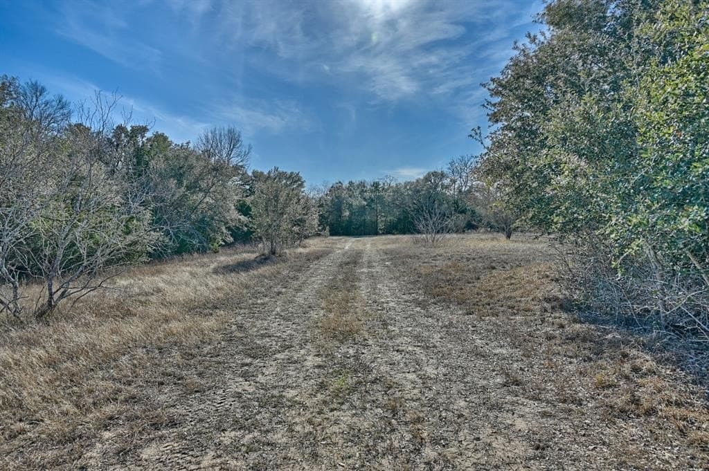 35 acres in Colorado County - photo 26