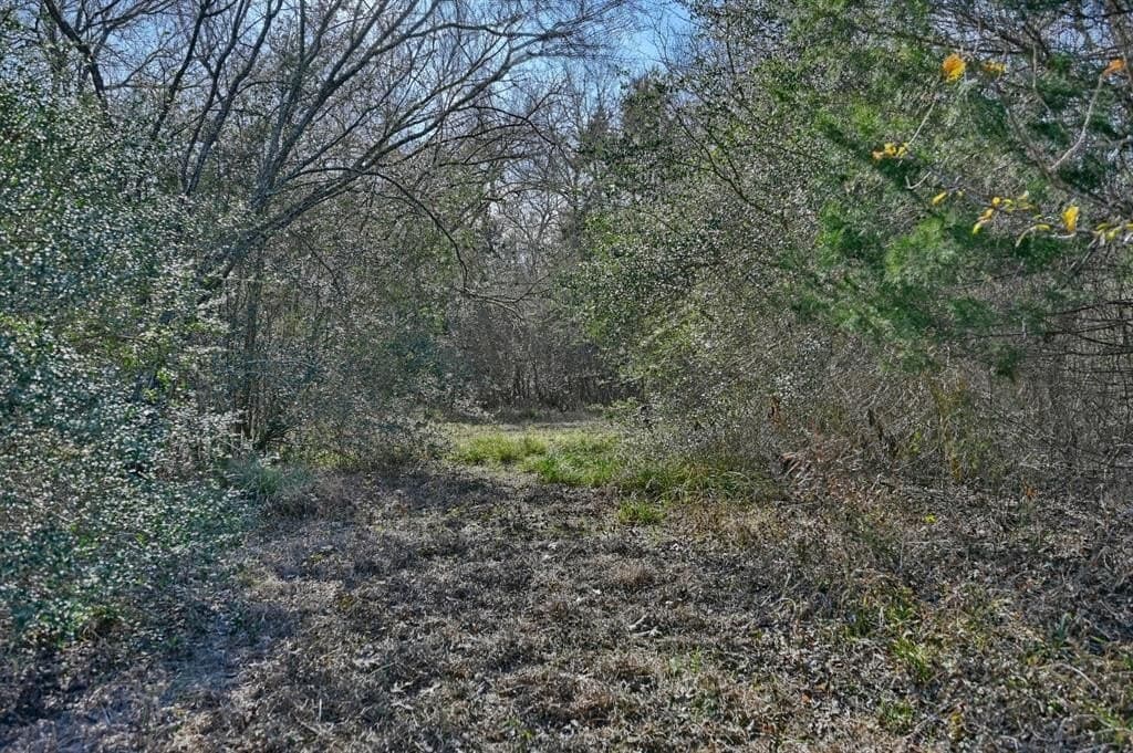 35 acres in Colorado County - photo 25