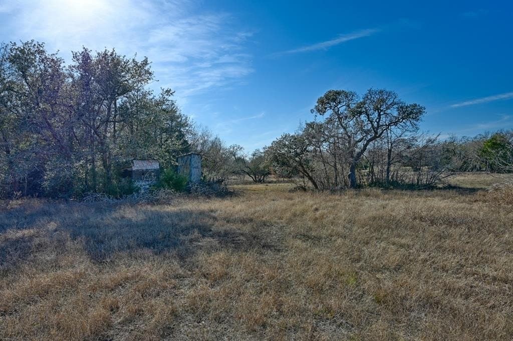 35 acres in Colorado County - photo 18