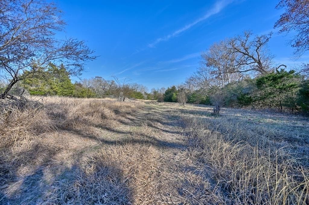 35 acres in Colorado County - photo 10