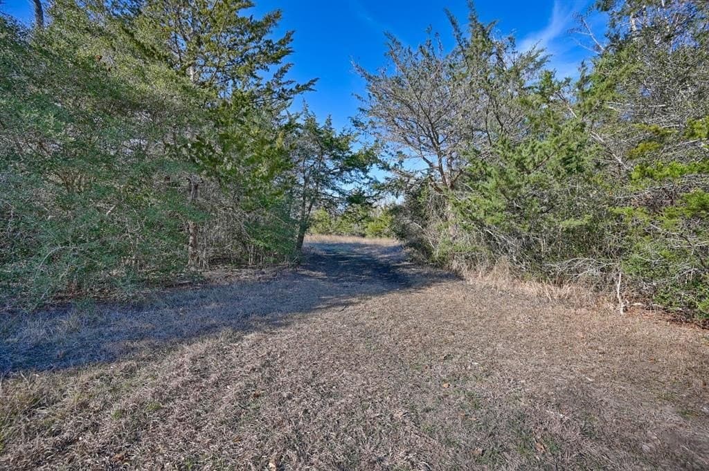 35 acres in Colorado County - photo 23