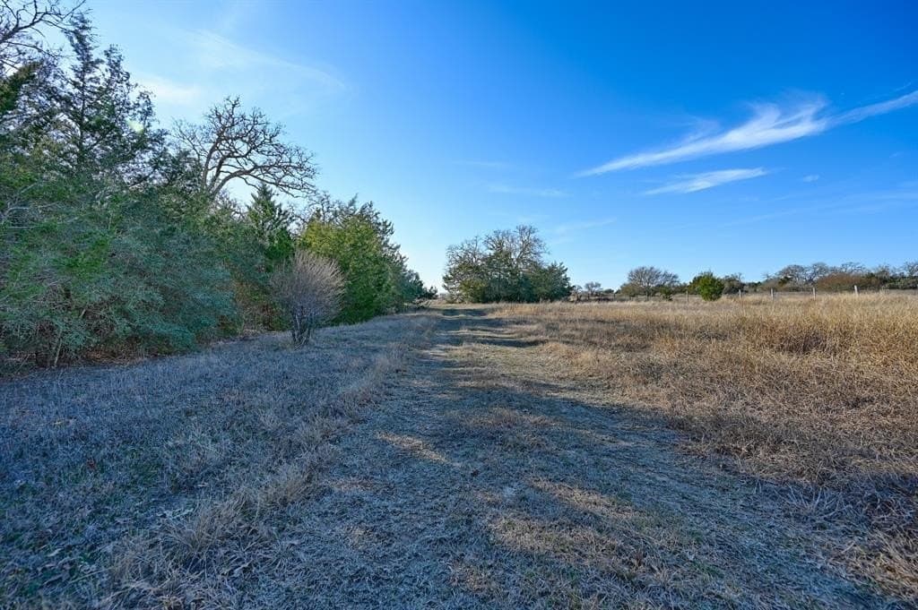 35 acres in Colorado County - photo 9