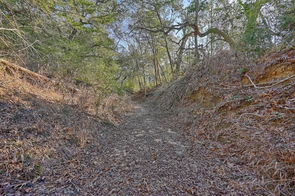 35 acres in Colorado County - photo 12