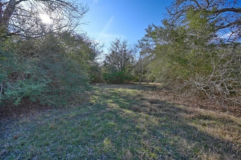 35 acres in Colorado County - photo 22