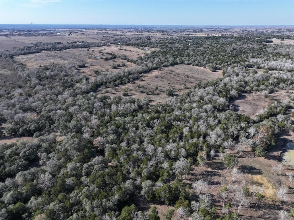 35 acres in Colorado County - photo 6