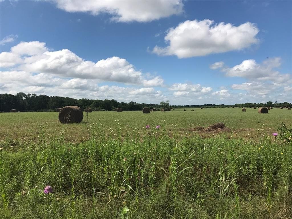 39.14 acres in Van Zandt County - photo 3