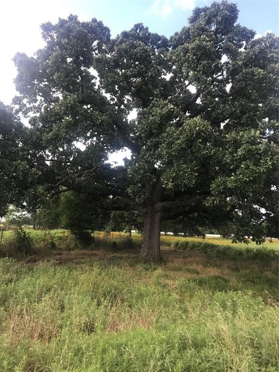 39.14 acres in Van Zandt County - photo 2