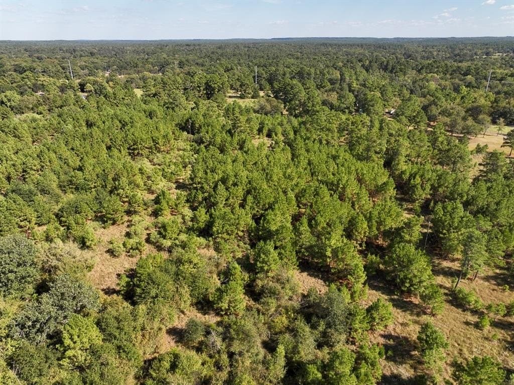 10.24 acres in Walker County - photo 14
