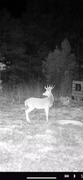 43.82 acres in Cass County - photo 12