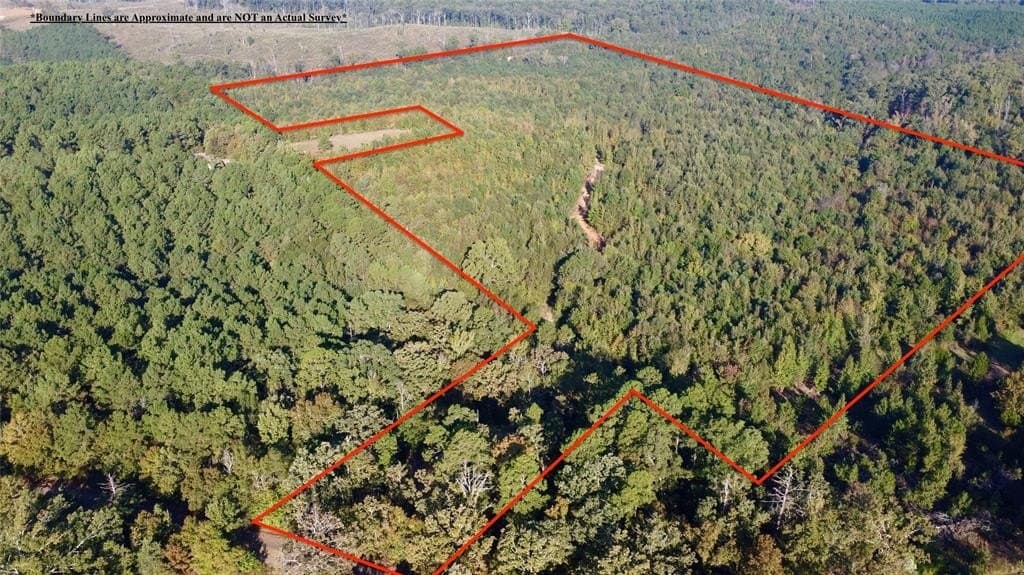 43.82 acres in Cass County - photo 3