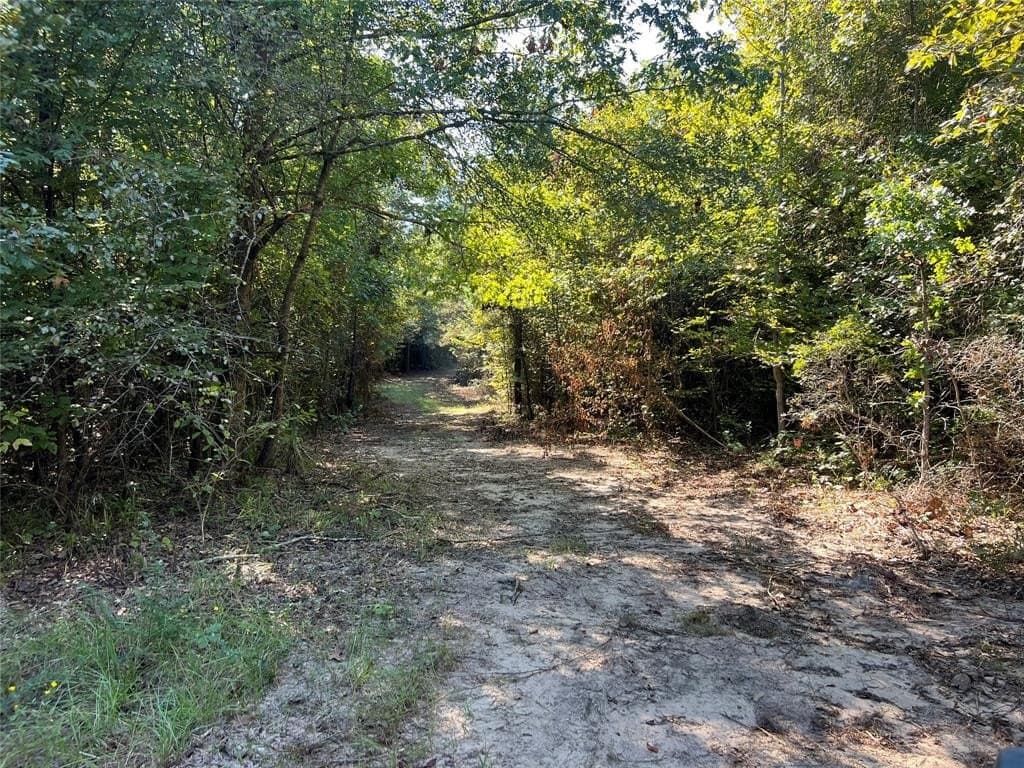 43.82 acres in Cass County - photo 6