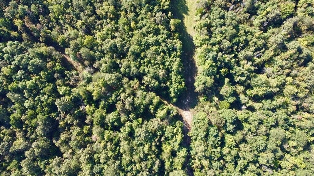 43.82 acres in Cass County - photo 2
