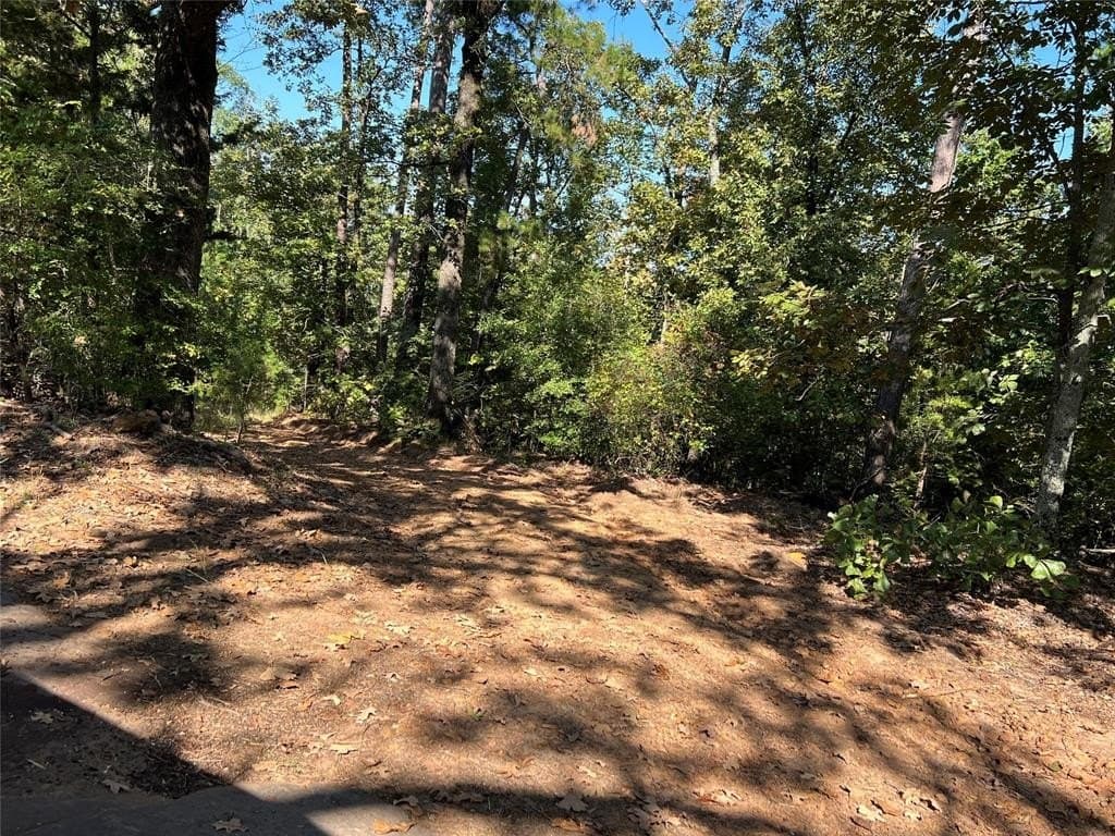 43.82 acres in Cass County - photo 5