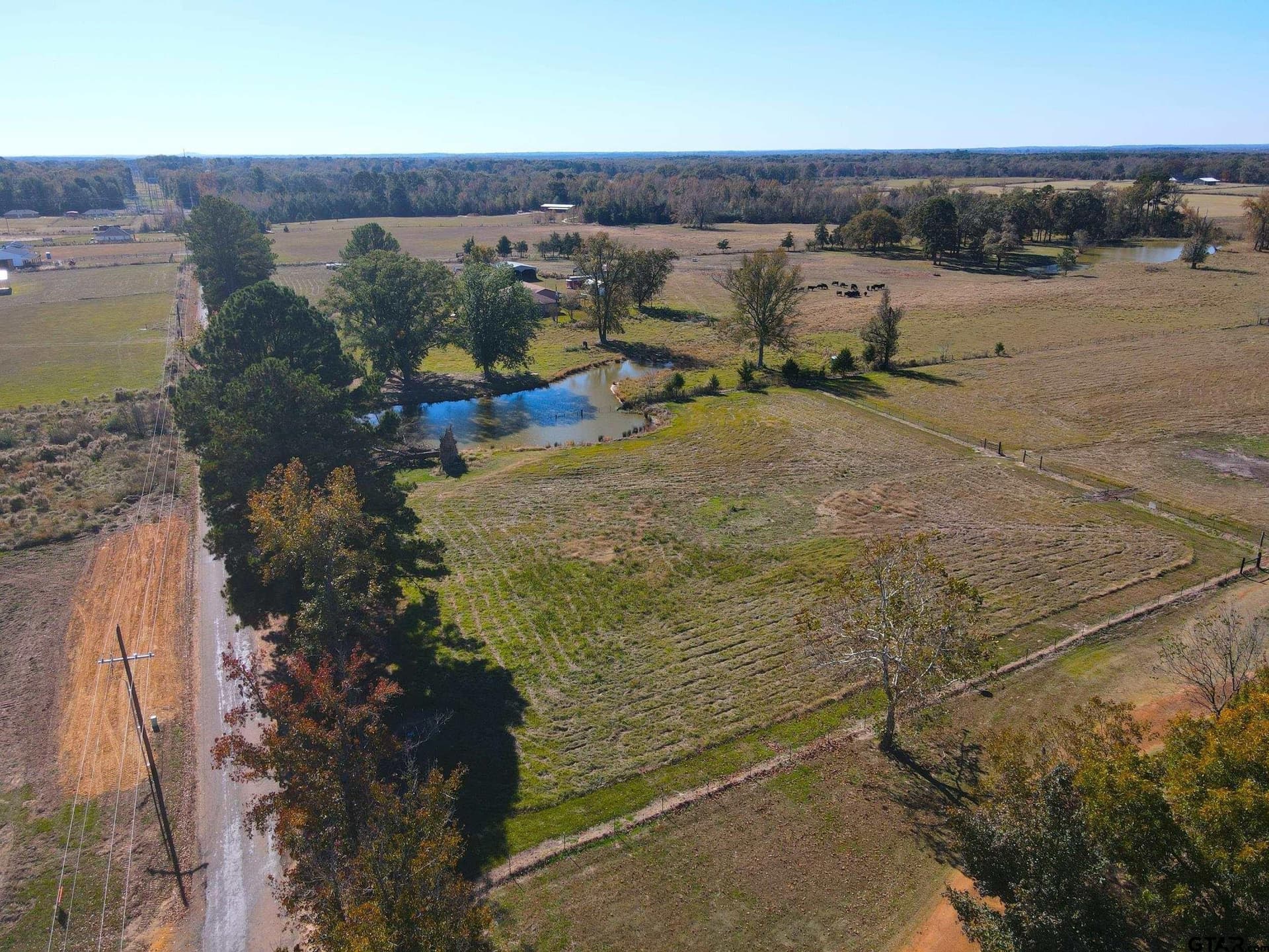 17.27 acres in Camp County - photo 25