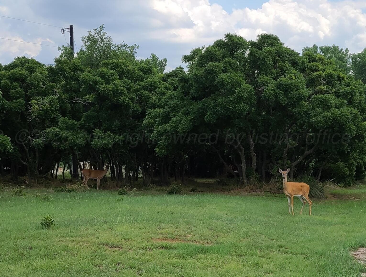 0 acres in Donley County - photo 3