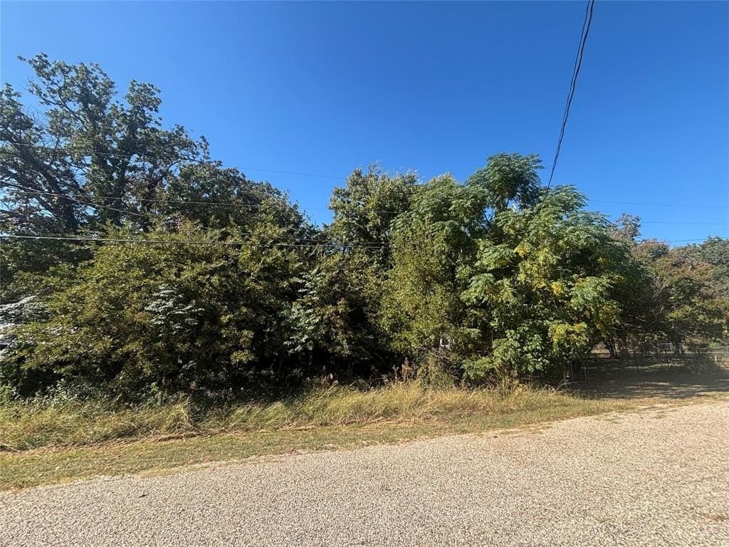 0.07 acres in Hood County - photo 3