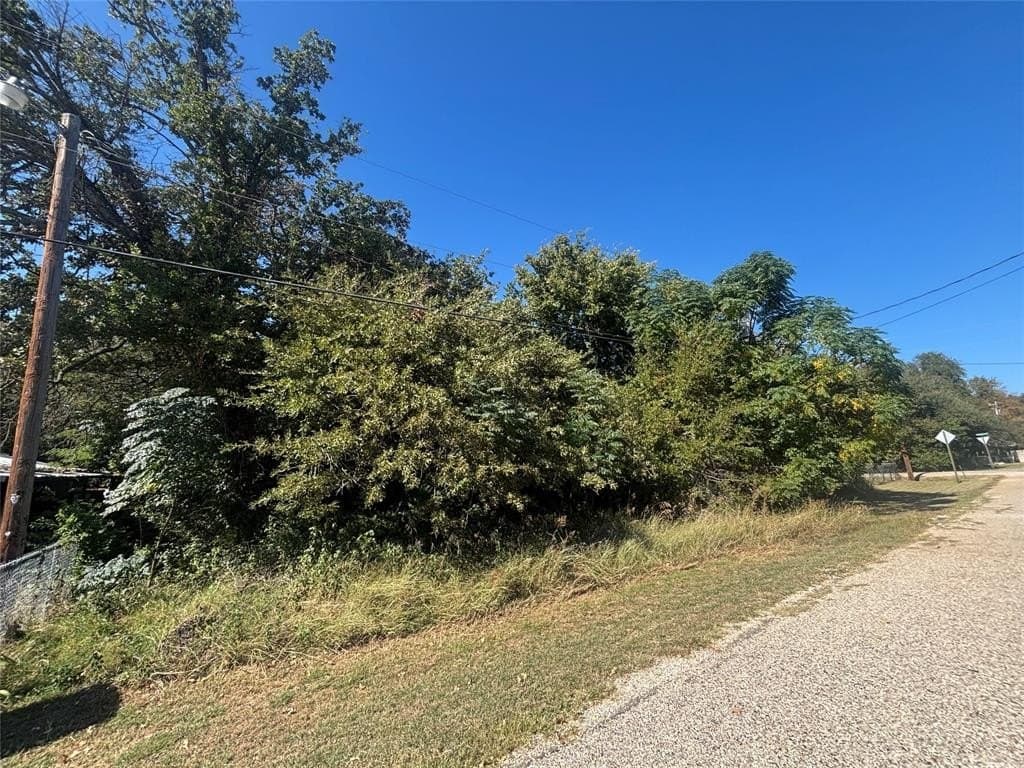 0.07 acres in Hood County - photo 2