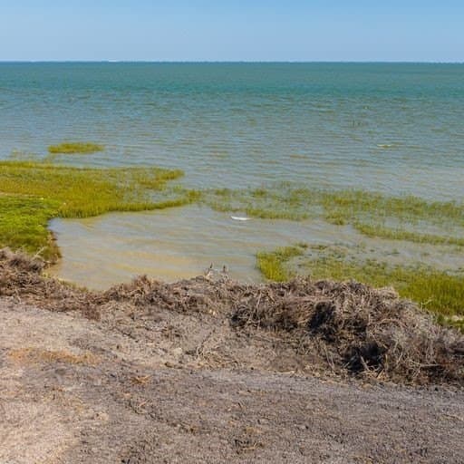 0 acres in Refugio County - photo 7