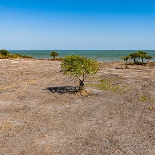 0 acres in Refugio County - photo 18