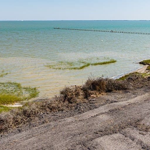 0 acres in Refugio County - photo 9