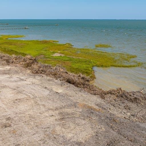 0 acres in Refugio County - photo 10