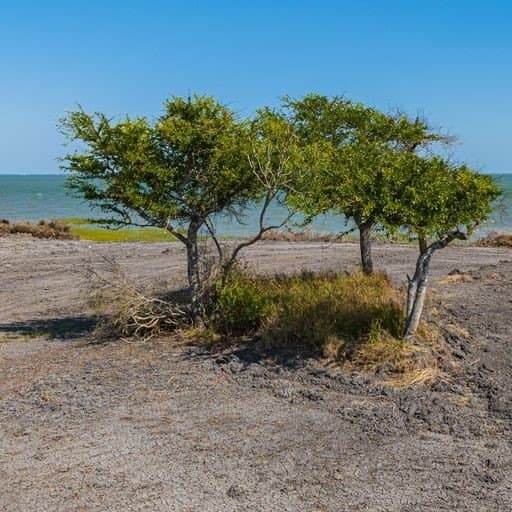 0 acres in Refugio County - photo 5