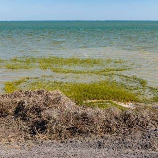 0 acres in Refugio County - photo 14