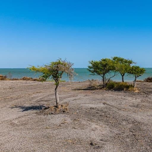 0 acres in Refugio County - photo 4