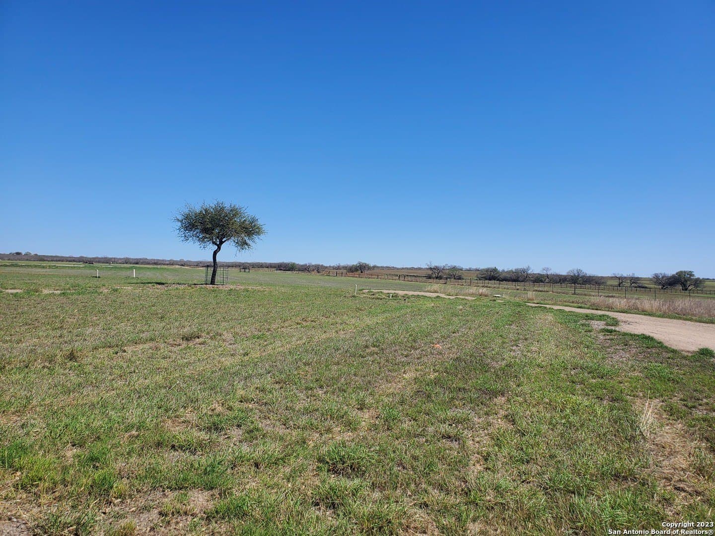 10 acres in Atascosa County - photo 5