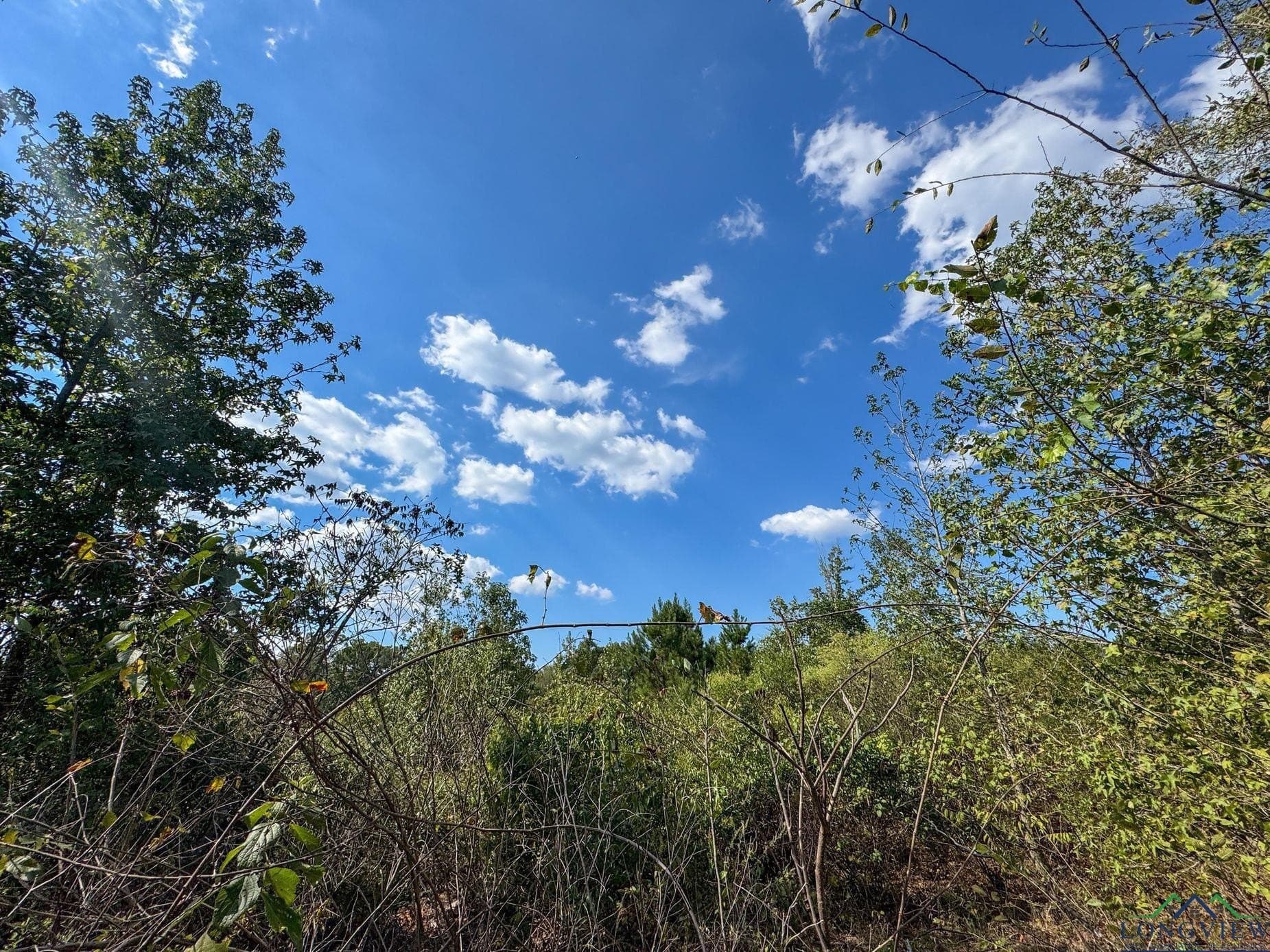 17.76 acres in Cass County - photo 10