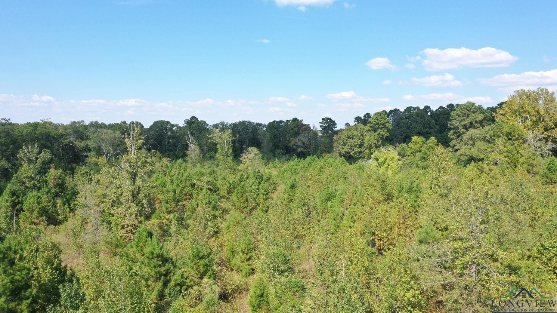 17.76 acres in Cass County - photo 4