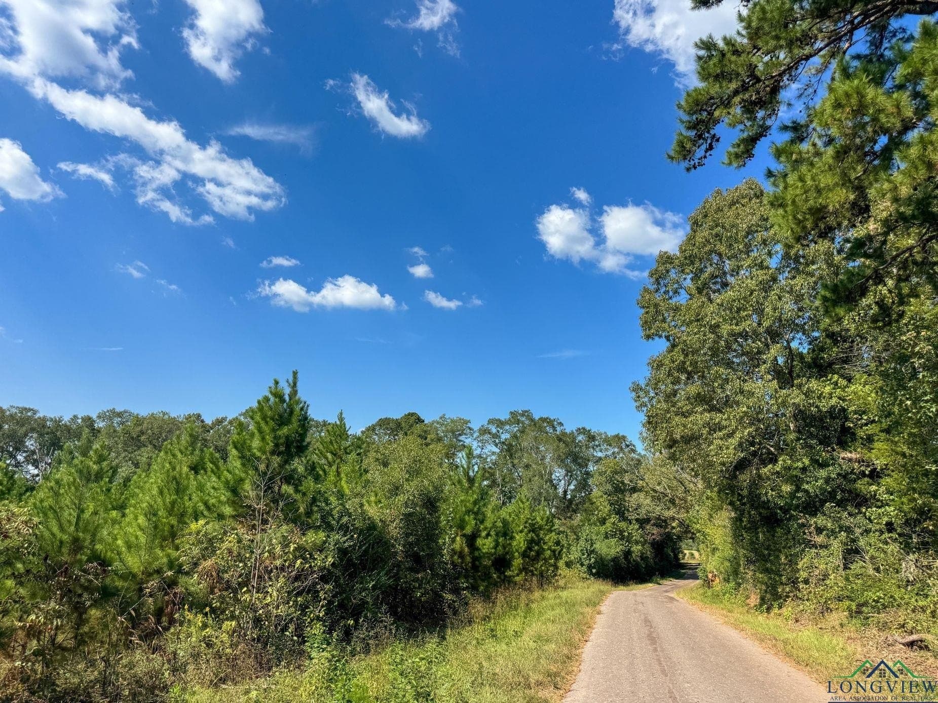 17.76 acres in Cass County - photo 8