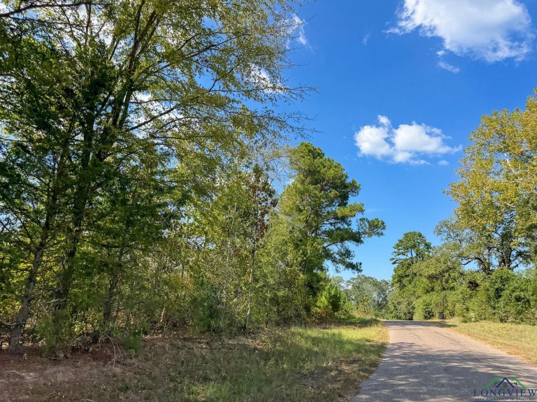 17.76 acres in Cass County - photo 11