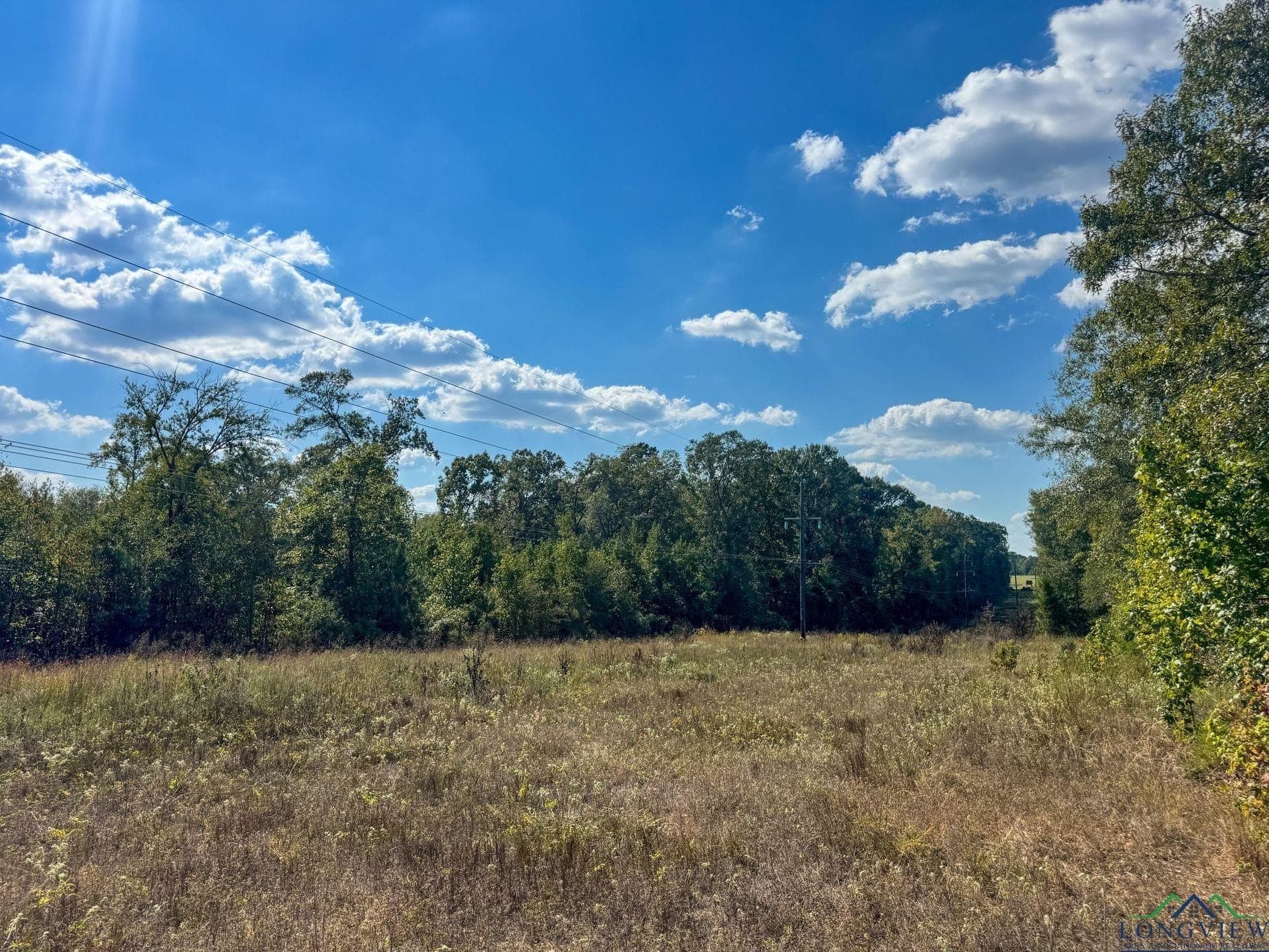17.76 acres in Cass County - photo 9