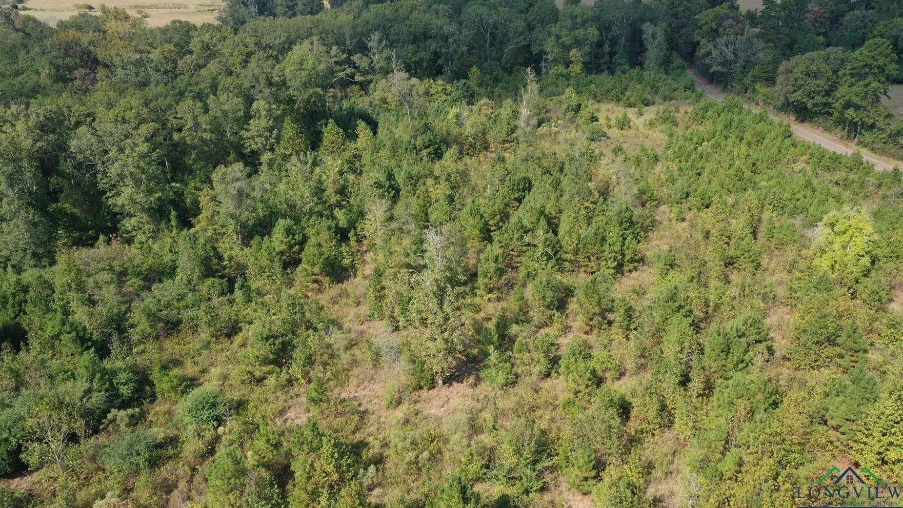 17.76 acres in Cass County - photo 3