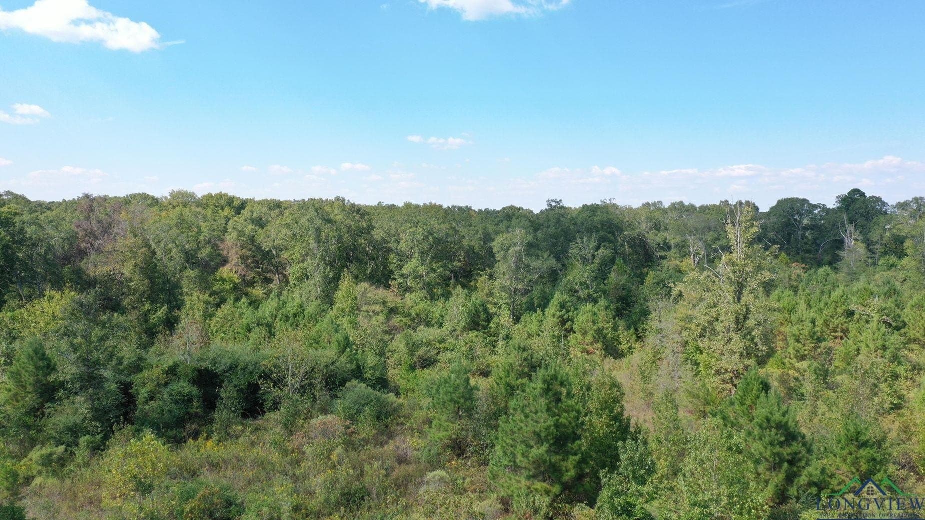 17.76 acres in Cass County - photo 2
