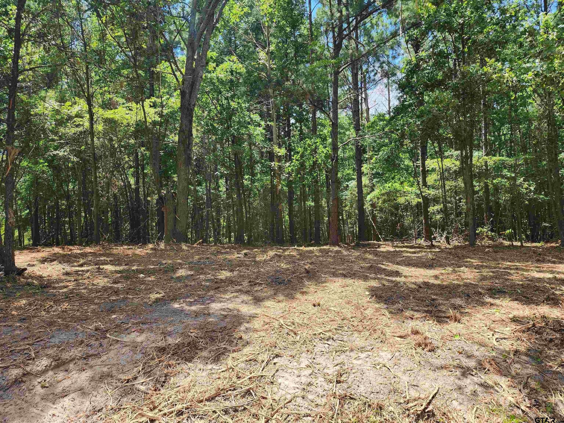 TBD CR 4114 22.22 Acres