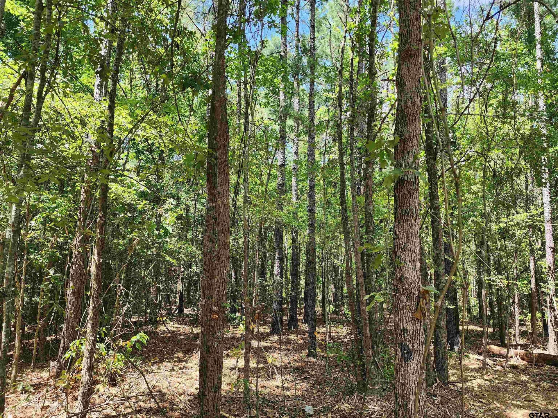 22.22 acres in Morris County - photo 2