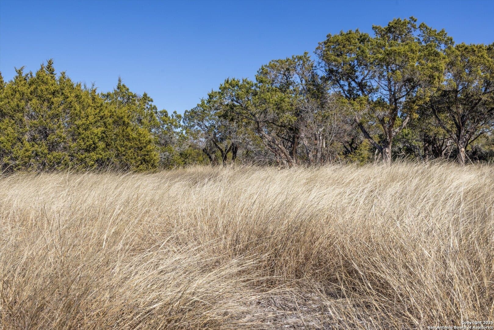 3.35 acres in Burnet County - photo 4
