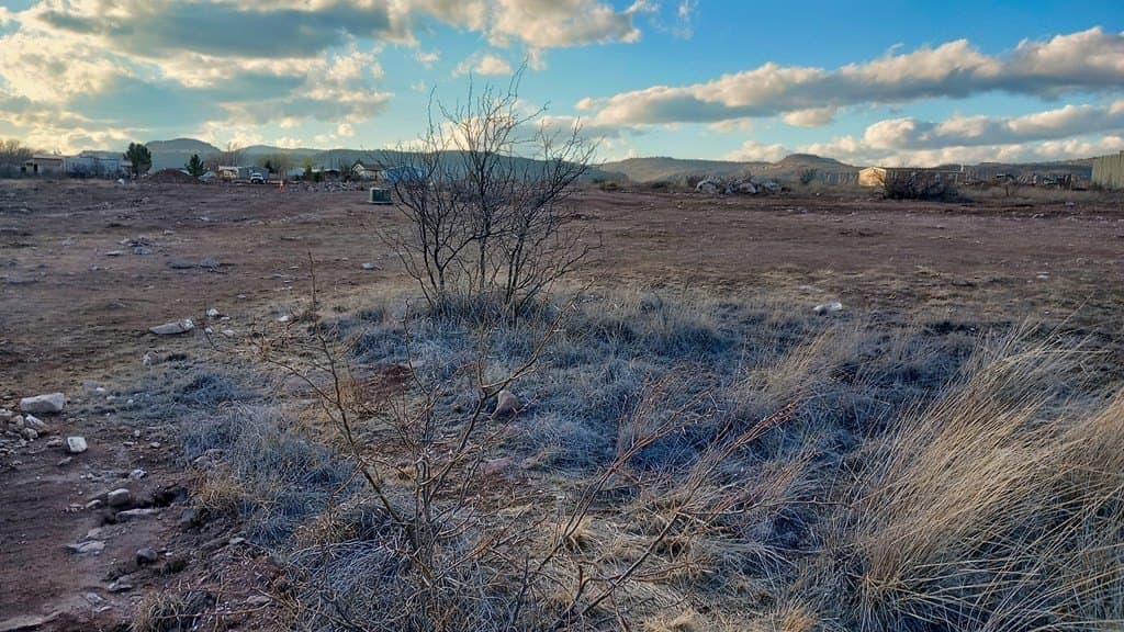 0.34 acres in Jeff Davis County - photo 16