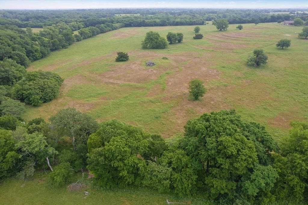 61 acres in Grayson County - photo 11