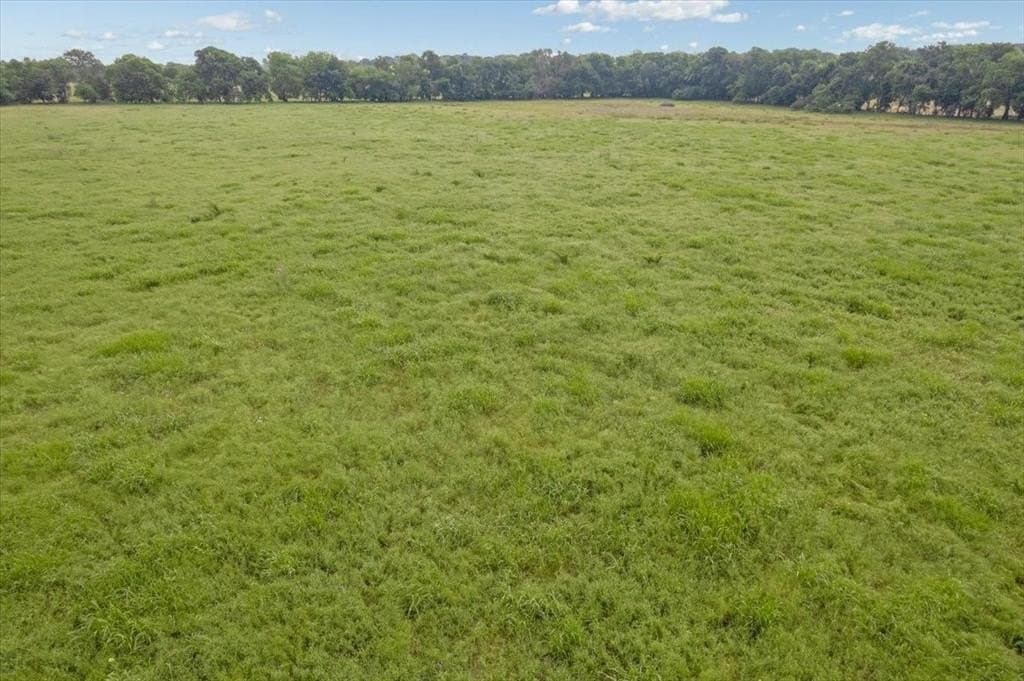 61 acres in Grayson County - photo 10