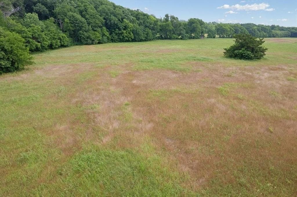 61 acres in Grayson County - photo 12