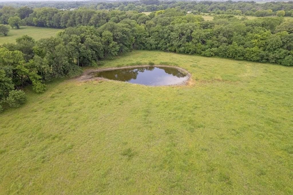 61 acres in Grayson County - photo 8