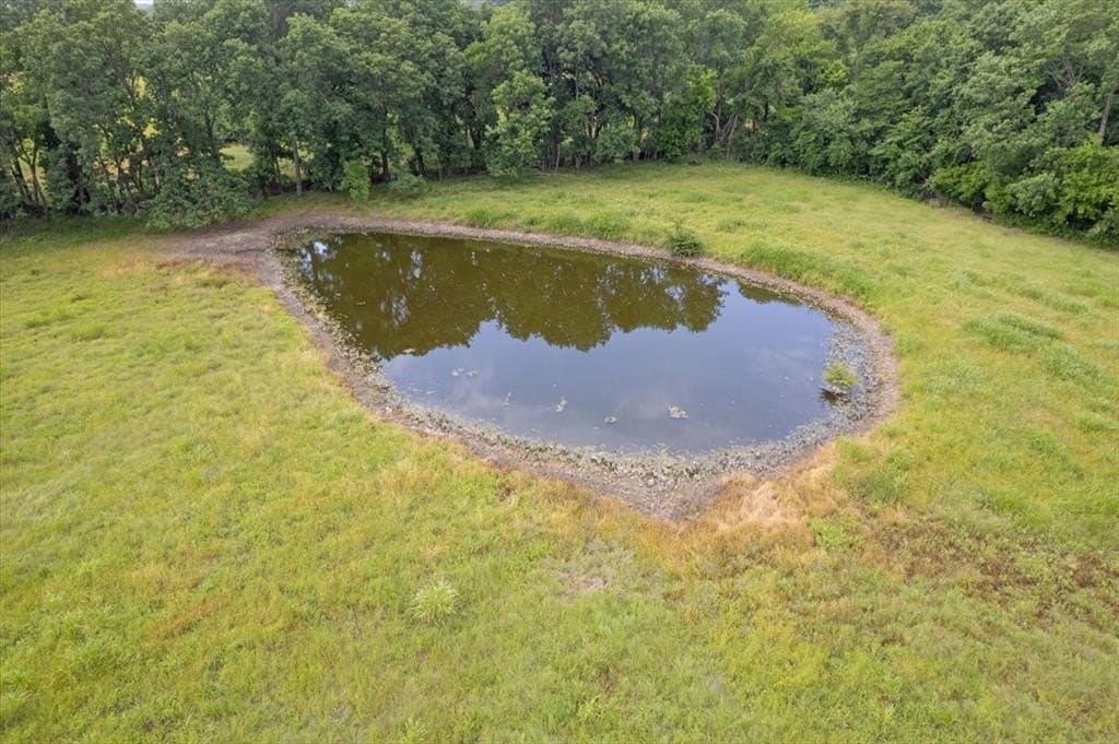 61 acres in Grayson County - photo 9