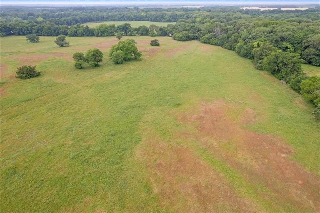 61 acres in Grayson County - photo 7