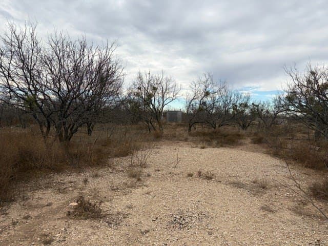 120 acres in Schleicher County - photo 4