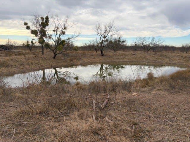 120 acres in Schleicher County - photo 3